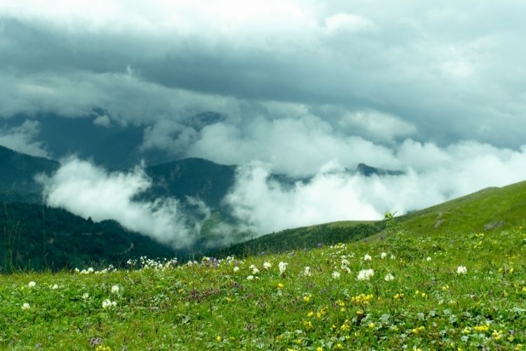 Yeşilin her tonunu barındıran Trabzon yaylaları, sisli dağ yolları ve doğa yürüyüşü rotalarıyla büyüleyici bir atmosfer sunar.

