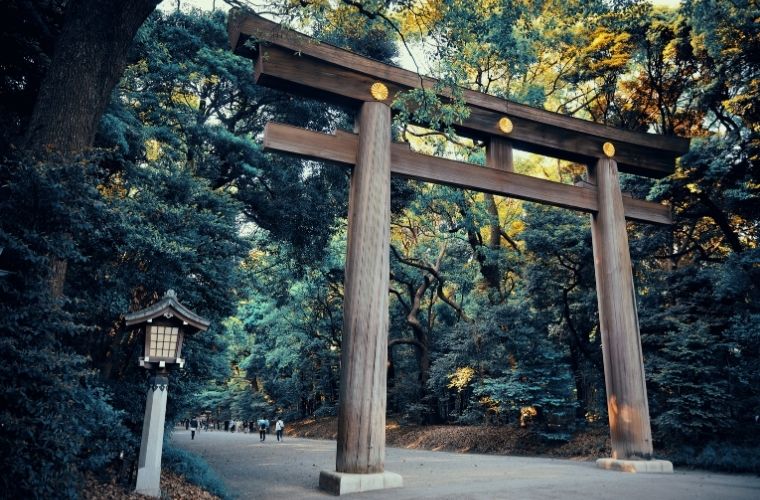 Meiji Tapınağı, Yoyogi Parkı'nın huzurlu doğasında yer alır ve geleneksel Japon kültürünü yansıtır.

