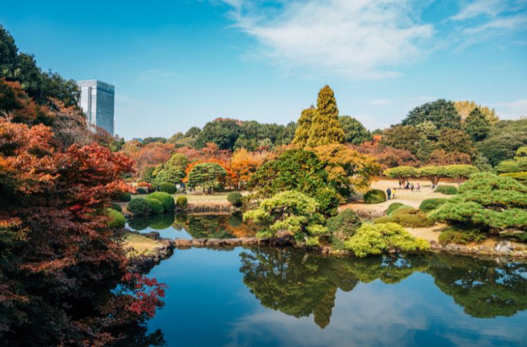 Yoyogi Park, geniş yeşil alanlarıyla şehirde bir nefes alma fırsatı sunar.

