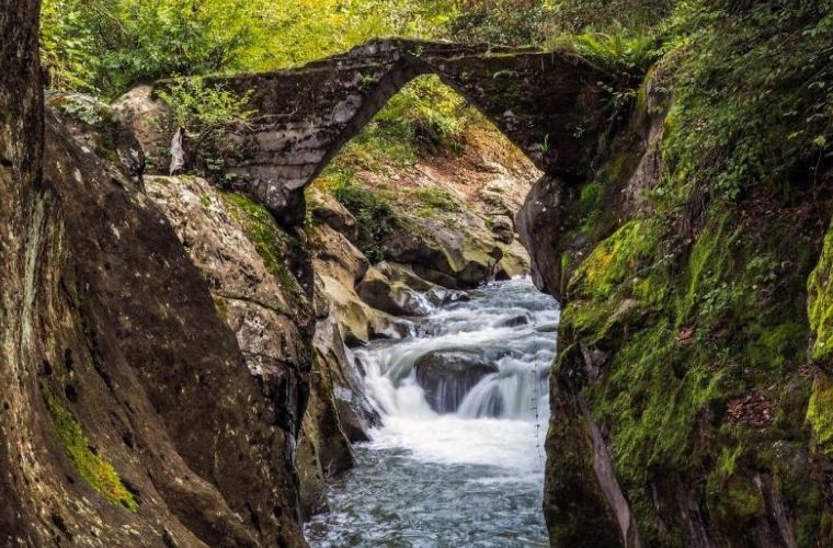 Çamaş Kanyonu'nun derin vadileri ve doğal güzellikleri.