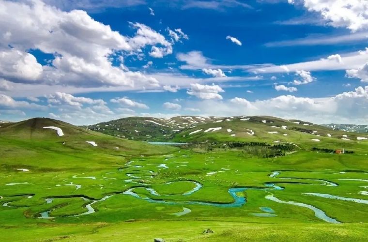 Perşembe Yaylası'nın yemyeşil çimenleri ve tertemiz havası.