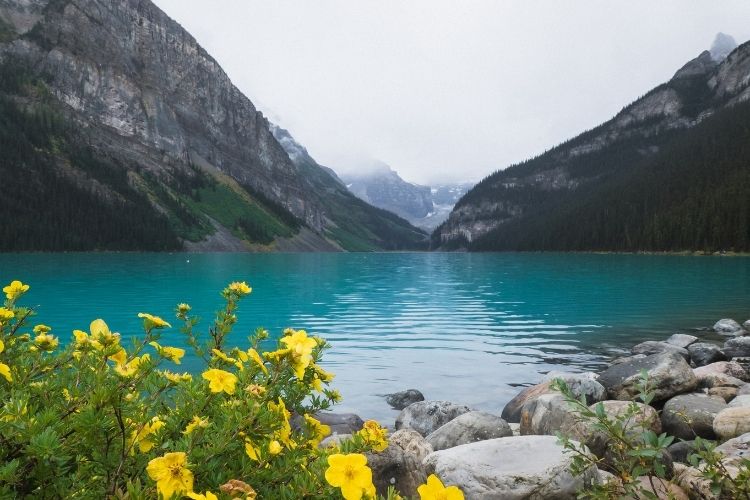 Banff’ın büyüleyici doğasında yaşanabilecek eşsiz deneyimler.